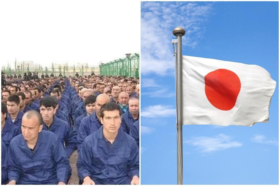 中國在新疆、西藏、香港所作所為,引發各界譴責,日本官員近日卻表態「不承認是種族滅絕」。(翻攝自微信/fotolia.com)