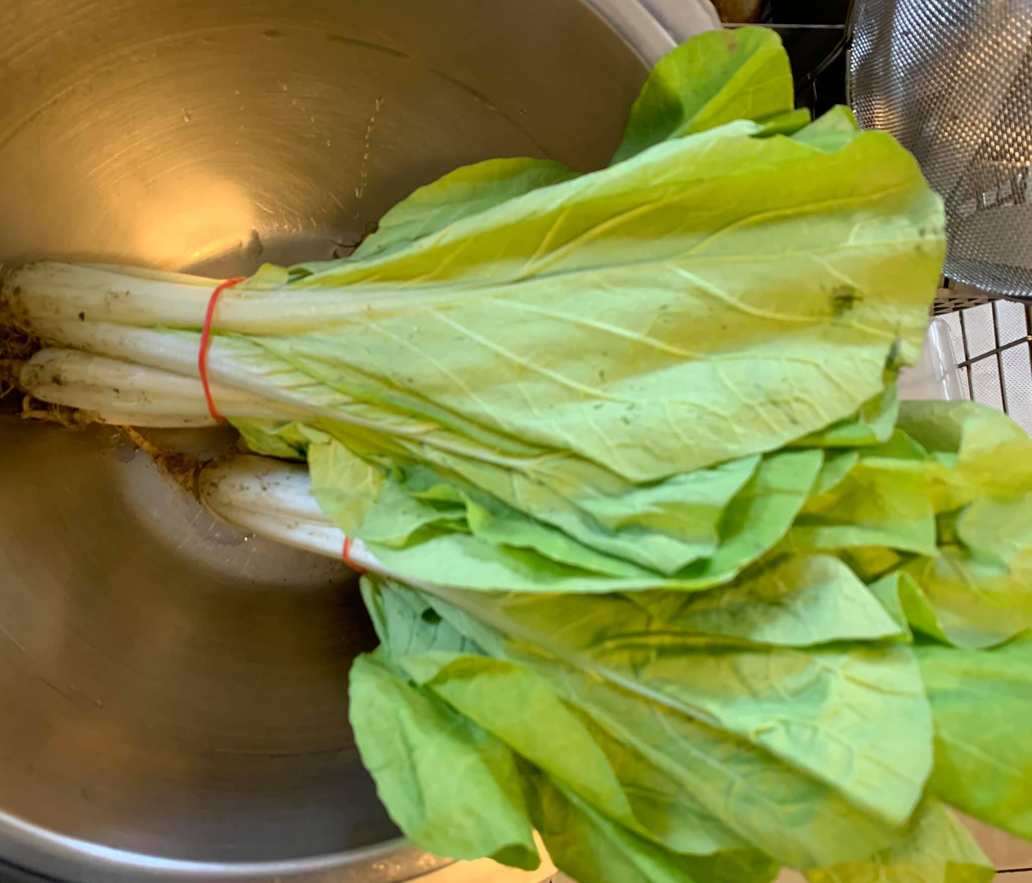 小白菜一把。