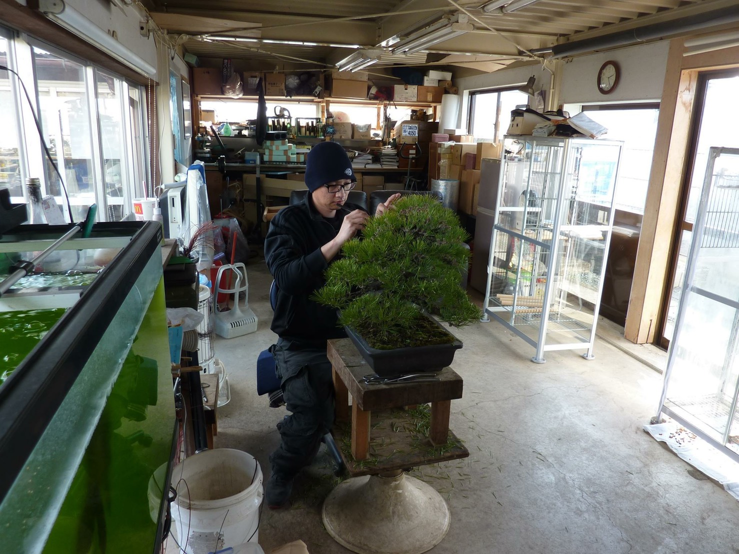 周元鵬赴日本靜岡苔聖園拜漆畑大雅學藝。（周元鵬提供）