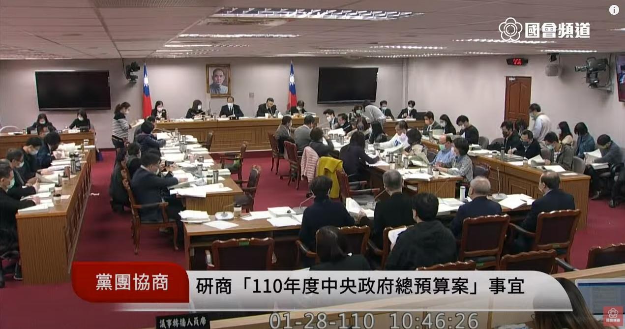 林奕華在會中主動表示,不堅持刪除陳時中特別費。(翻攝自國會頻道YouTube頻道)