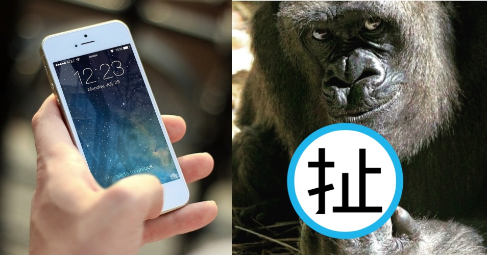 近來網路上出現「疫情輔助金」的假消息，就有網友誤點連結，發現竟被假消息「羞辱」（翻攝自PTT八卦板）