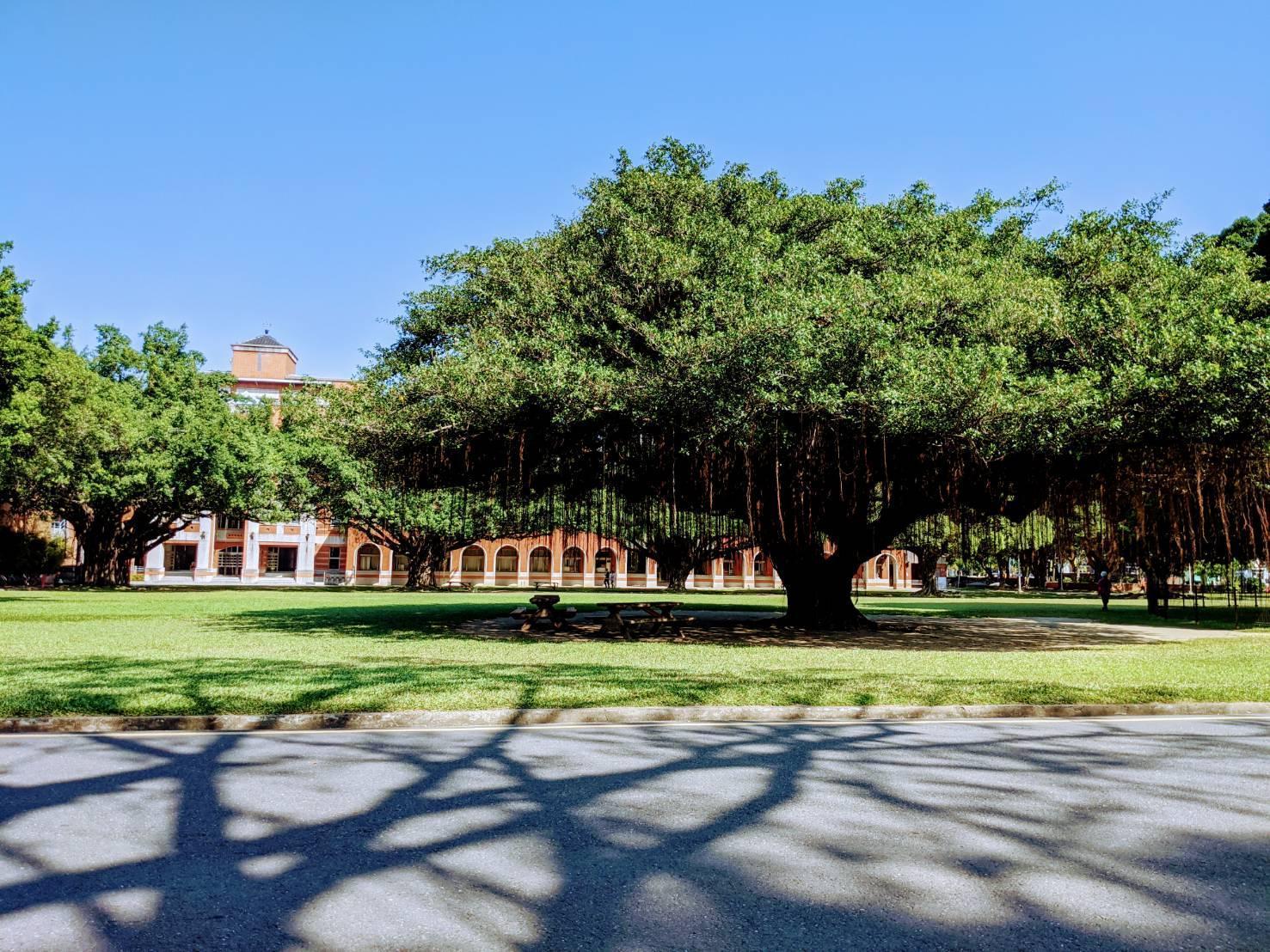《遠見》2021企業最愛大學生排行榜出爐,成大拿下7連霸。(翻攝自成大臉書)