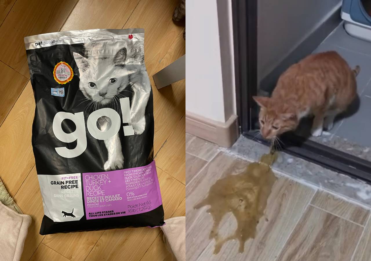 知名加拿大飼料品牌在中國傳出狀況，有上百名消費者投訴，指家中毛小孩吃完飼料，陸續出現嘔吐、腹瀉及血便症狀。（翻攝自微博）