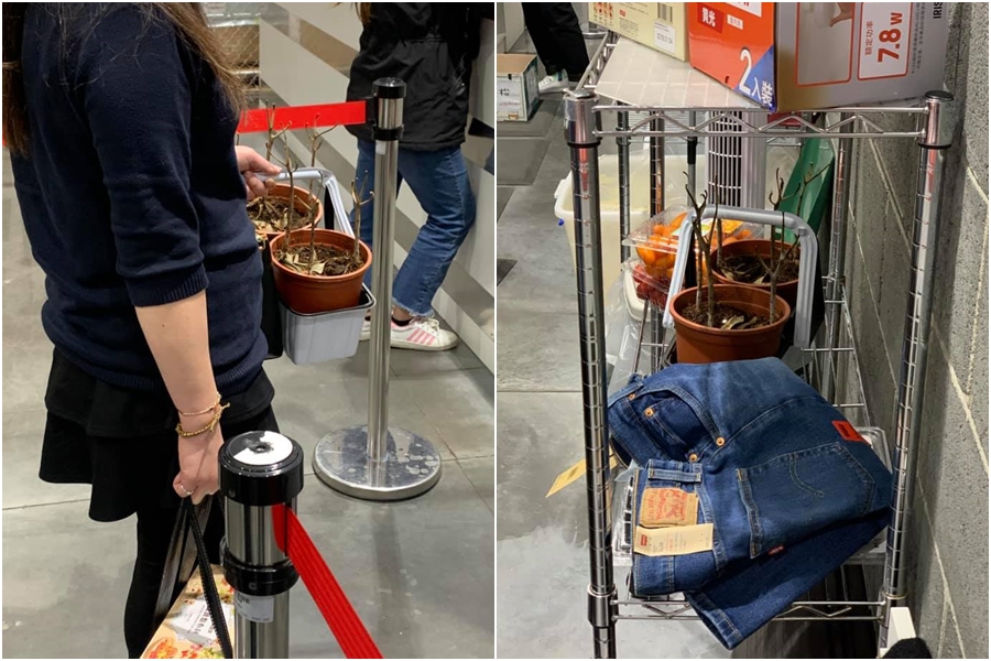 一名女子提著2盆「枯萎盆栽」要退貨。（翻攝自爆廢1公社）