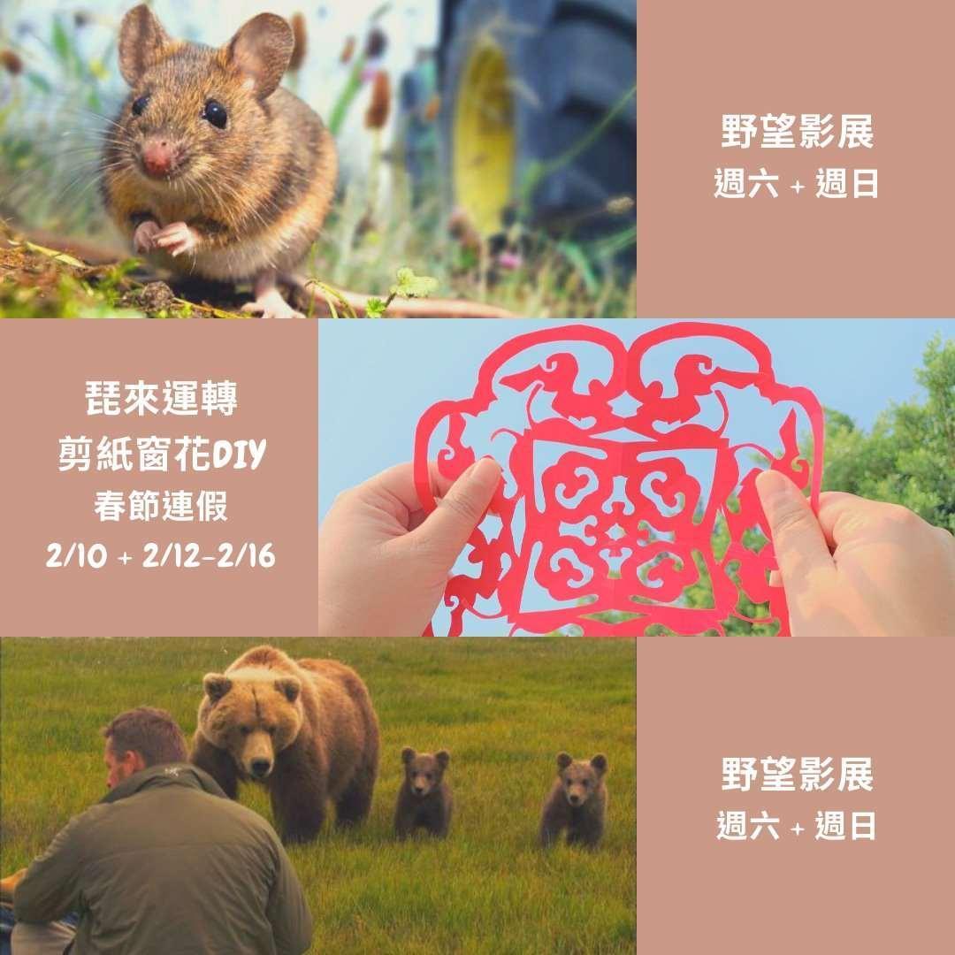 鰲鼓濕地森林園區剪紙窗花。(林務局提供)