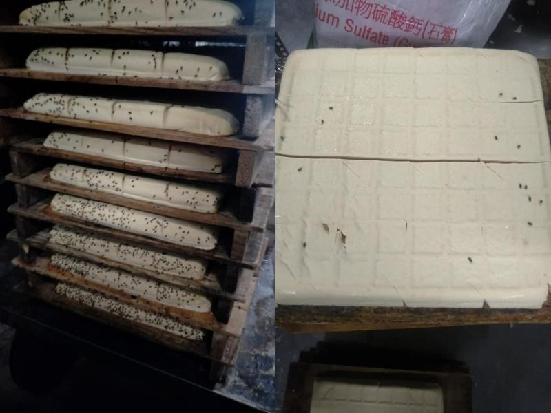 網友指該工廠「廁所與工作區域沒分開」，豆腐成品上的蒼蠅多到令人作嘔。（翻攝自爆廢公社）