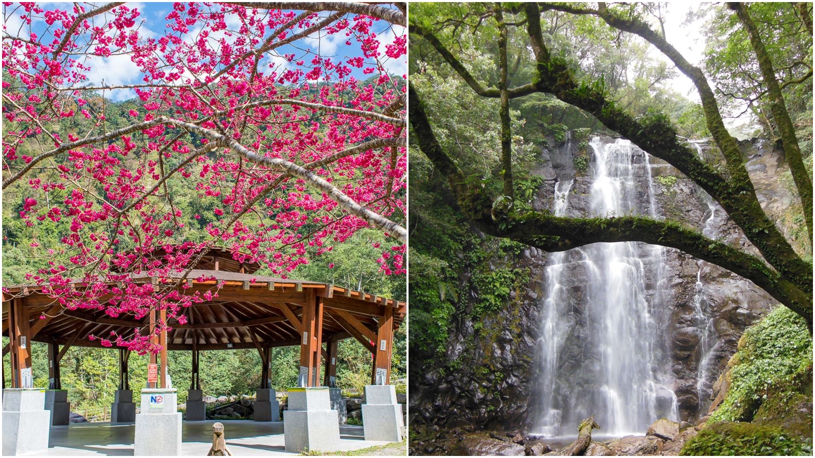 林務局今年針對12星座特質,規劃不同的玩森林公略;左為八仙山國家森林遊樂區、右為滿月圓國家森林遊樂區處女瀑布。(林務局提供)