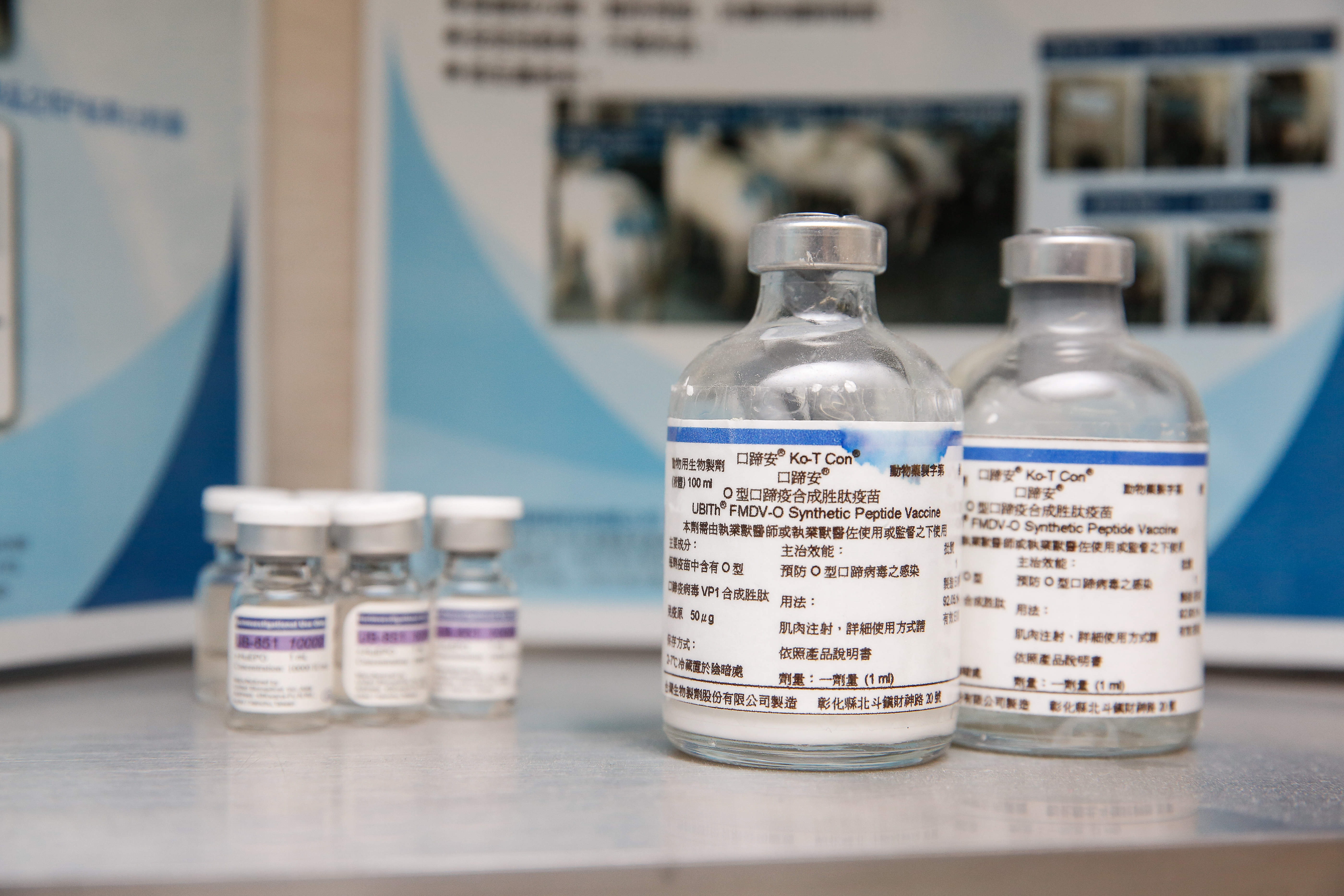 台灣苦等不到國劑疫苗，國內廠商聯亞生技拚供應2,000萬劑；圖為聯亞生技生產的O型口蹄疫合成胜肽疫苗。（本刊資料照）