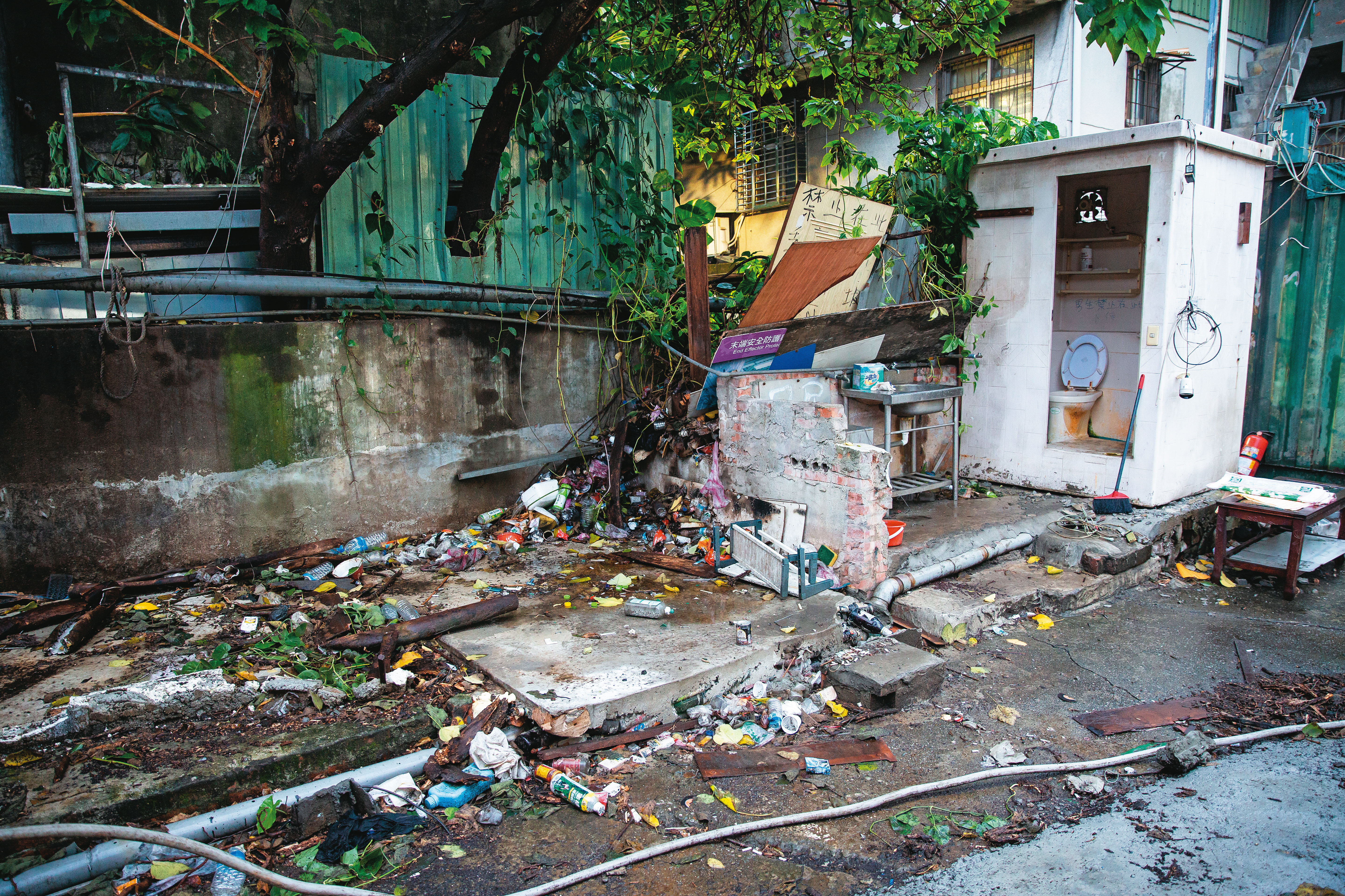 住1樓貨櫃屋的阿文說，他房間鄰近樓梯與廁所，人來人往，蟑螂、老鼠較少，但一旁樹叢常有唦唦聲，他懷疑是有蛇窩。
