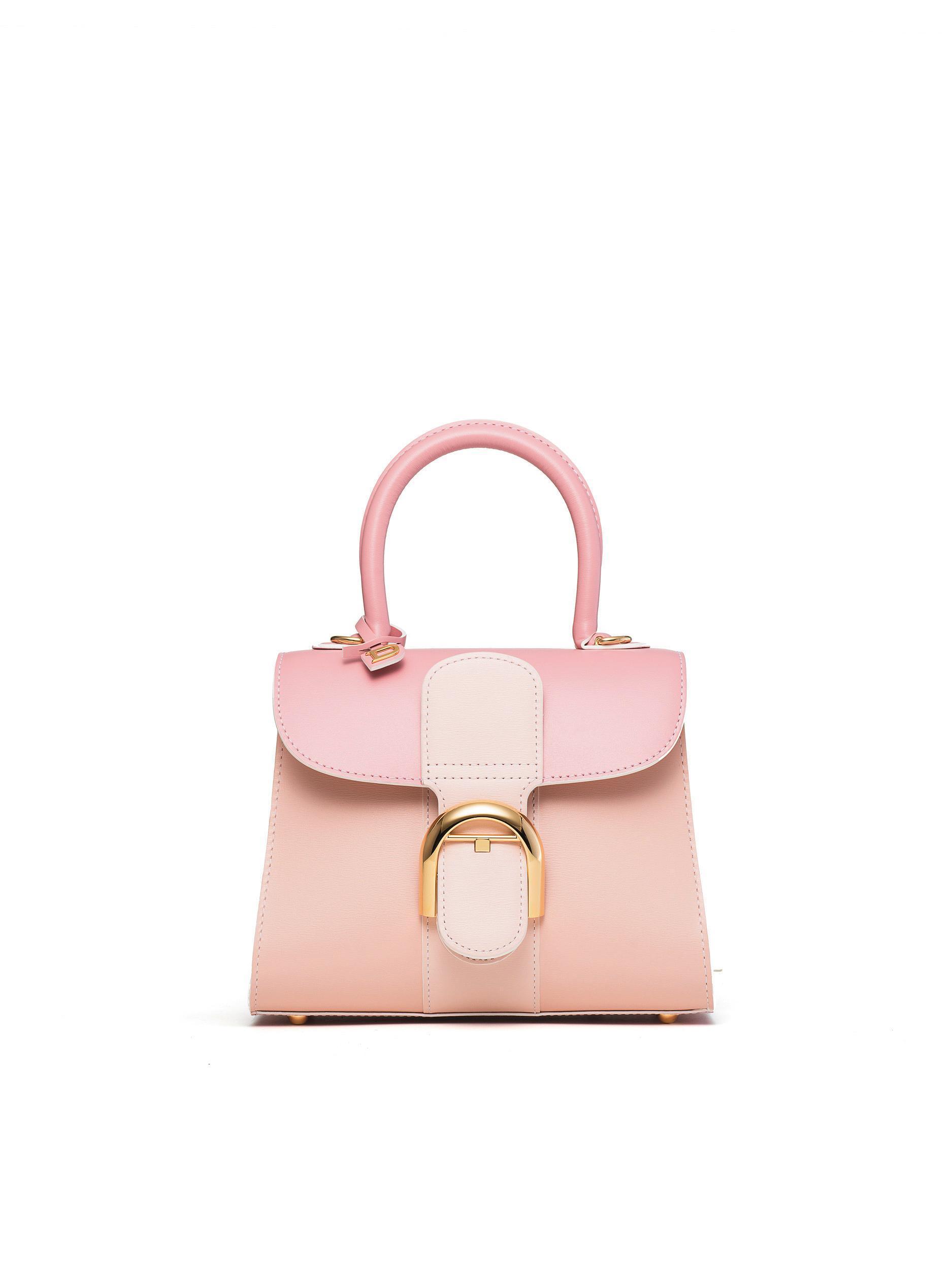 Forever Rose系列Brillant小型手袋 NT$172,300（DELVAUX提供）