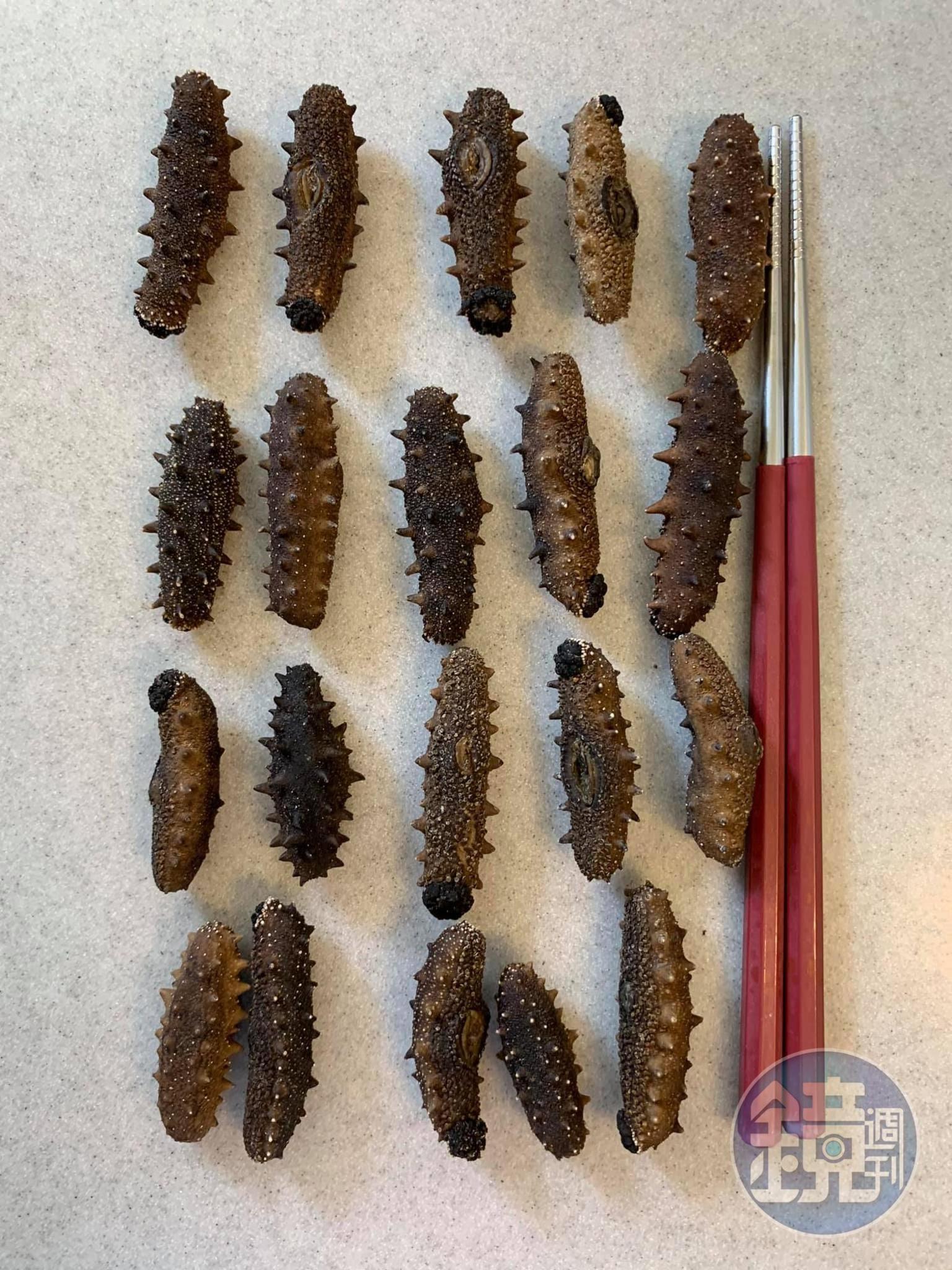 未發前的刺參，4根約等於一根筷子長。