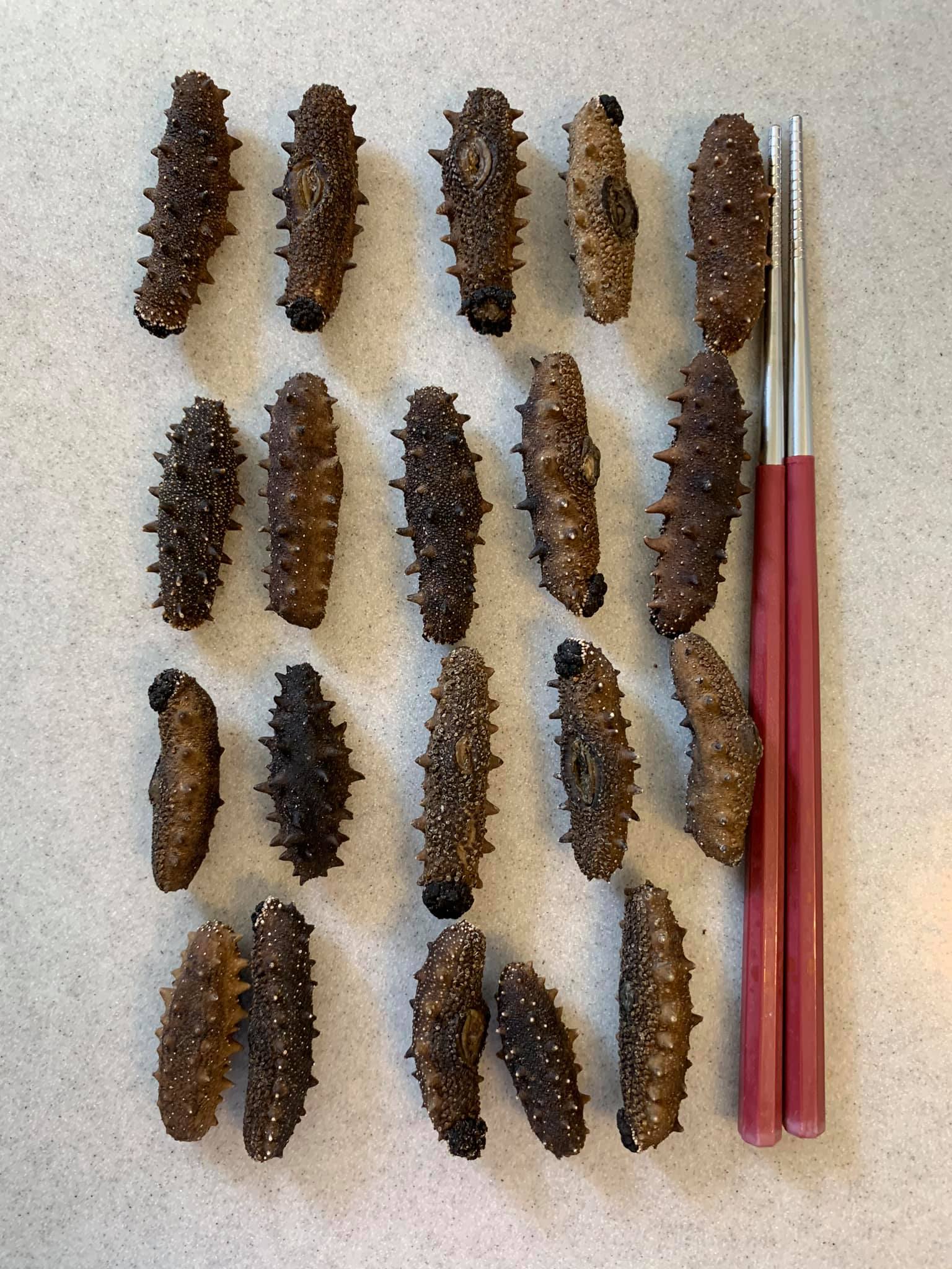 未發前的刺參，4根約等於一根筷子長。