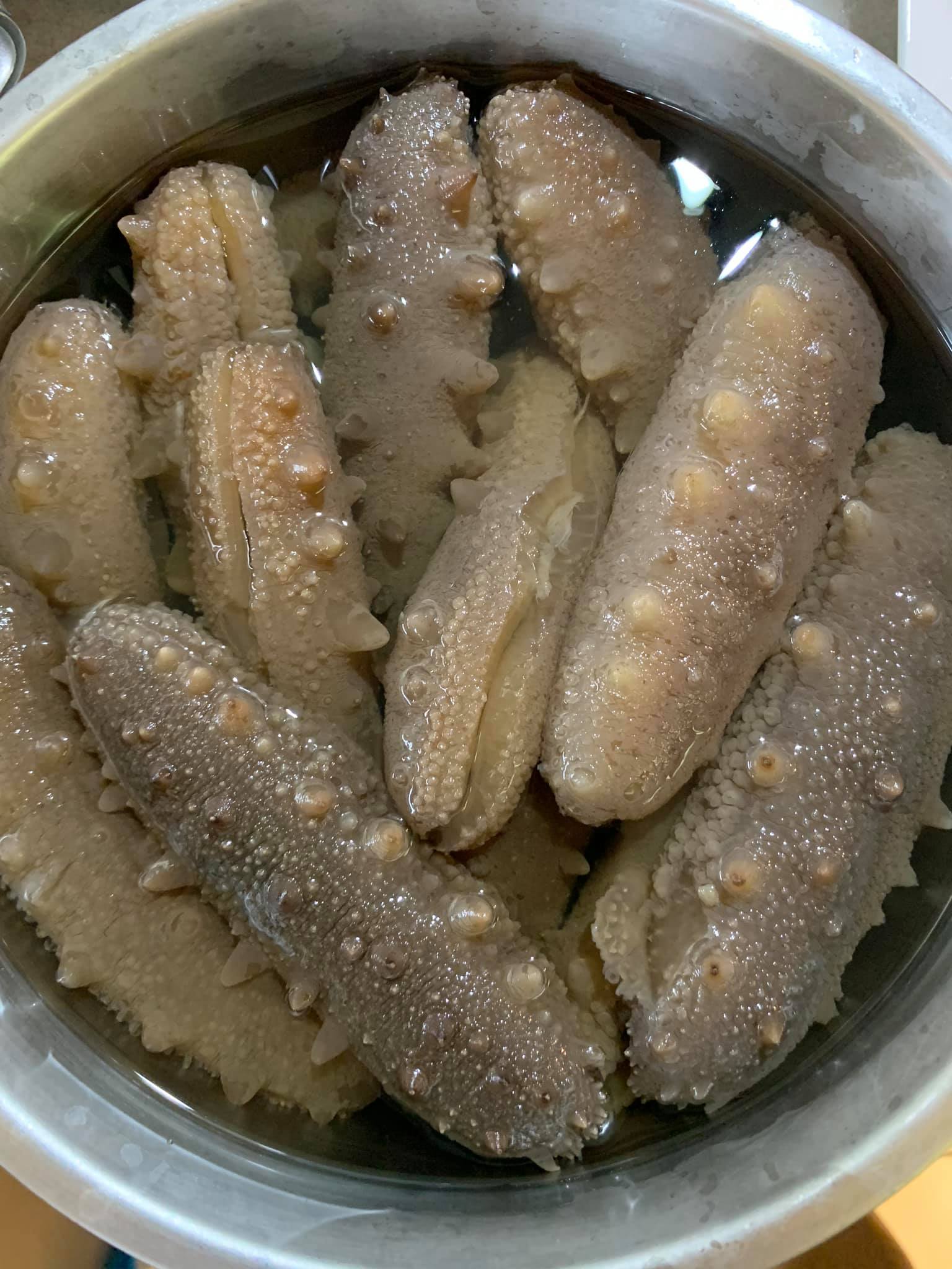 刺參清理完成後，放入冰箱冷藏備用。