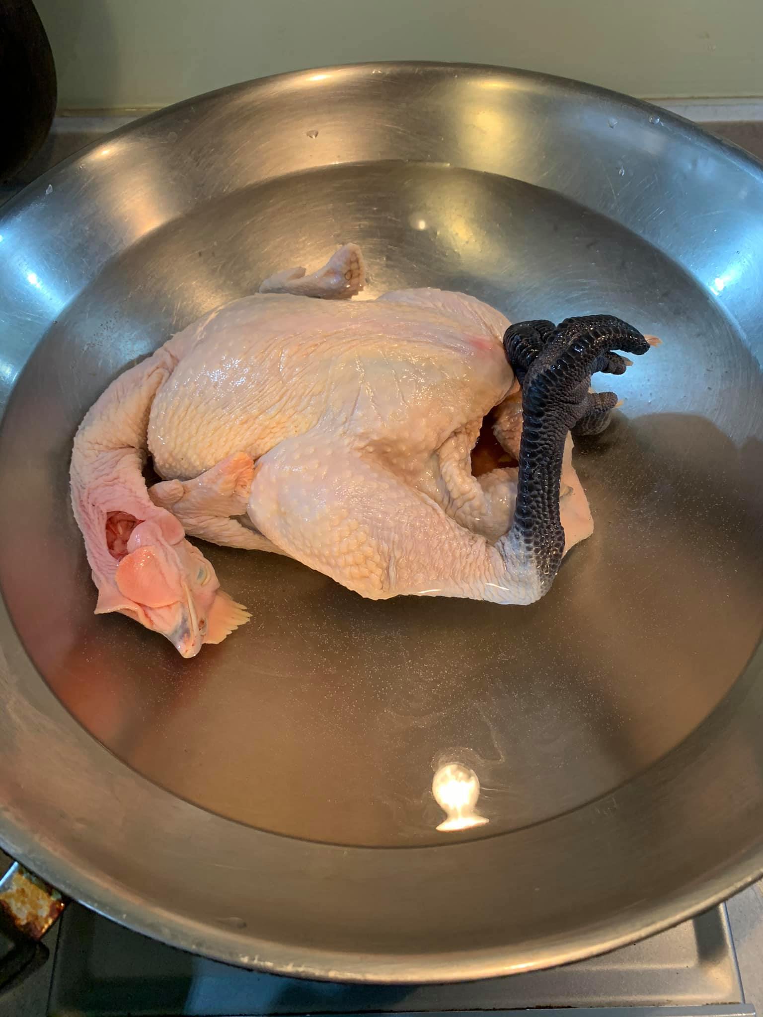 汆燙土雞。
