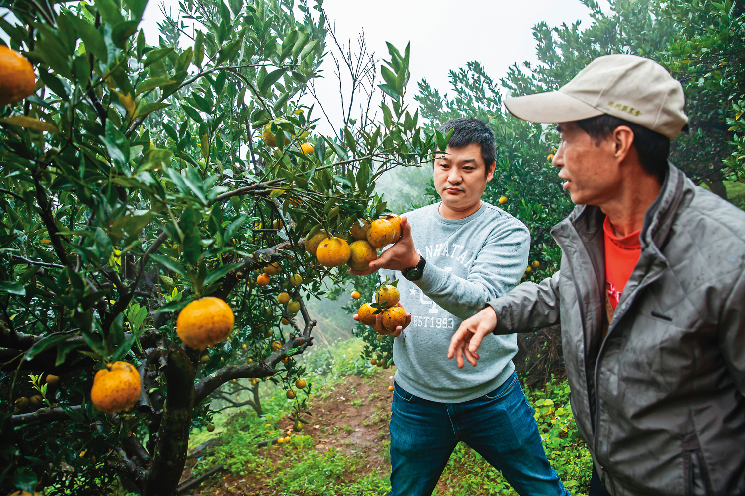 許智全（左）與許多小農合作，收購他們的作物當成遊戲獎勵，不僅幫助農民，還能吸引更多玩家。