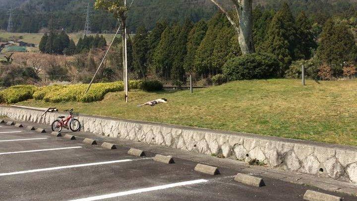 日本一名媽媽表示,兒子近來著迷於裝死遊戲,好幾次都收到朋友傳來兒子倒在野外的照片。(翻攝自@Riko_Murai推特)