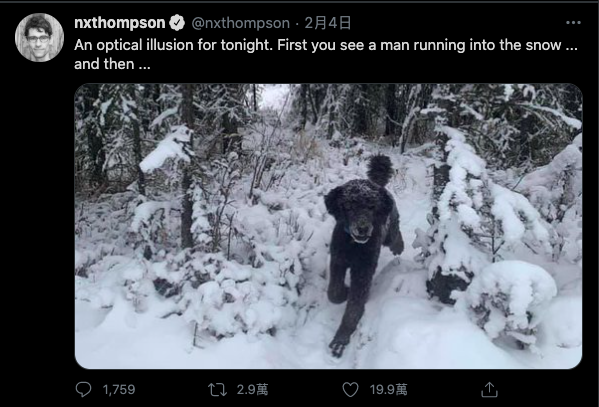 外媒記者尼古拉斯·湯普森(Nicholas Thompson)在推特上分享的照片中,每個人第一眼看到的「是人還是狗」?答案皆不同。(翻攝Nicholas Thompson推特)