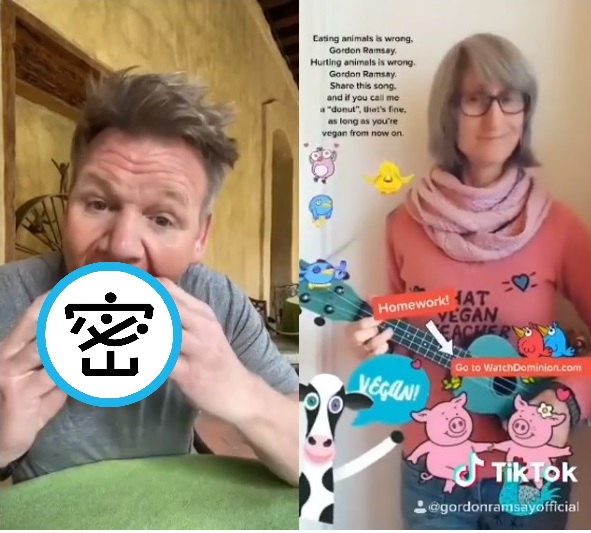 高登拉姆齊日前遭素食者批評吃肉不道德，用「大口咬下」的方式神回應對方。（翻攝自BC & Lowy YouTube、高登拉姆齊IG）