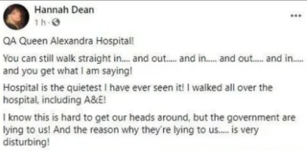 漢娜直說醫院很安靜，表示疫情只是政府的謊言。（翻攝自Hannah Dean臉書）