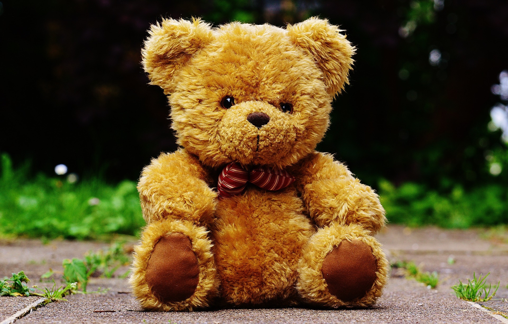 娃娃固然可愛，若收到太大的可是會讓人覺得有點傷腦筋。（示意圖，Pixabay）