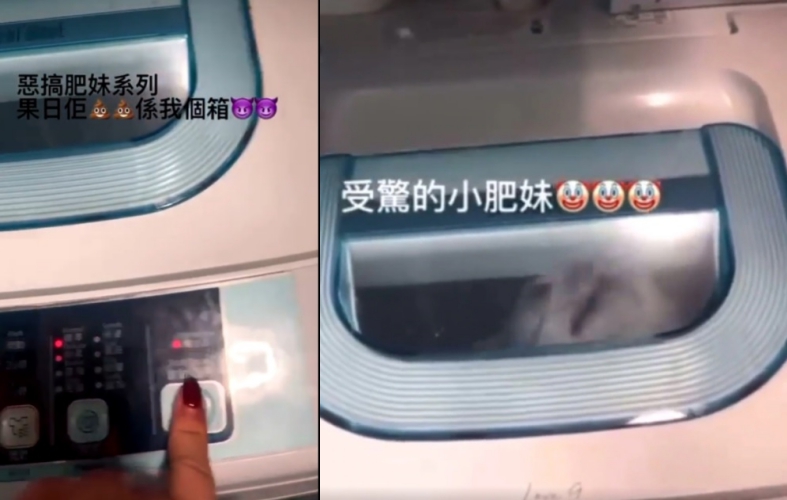 受到驚嚇的貓不斷在洗衣機內掙扎,更試圖頂開機門逃脫。(翻攝自Yuki IG)