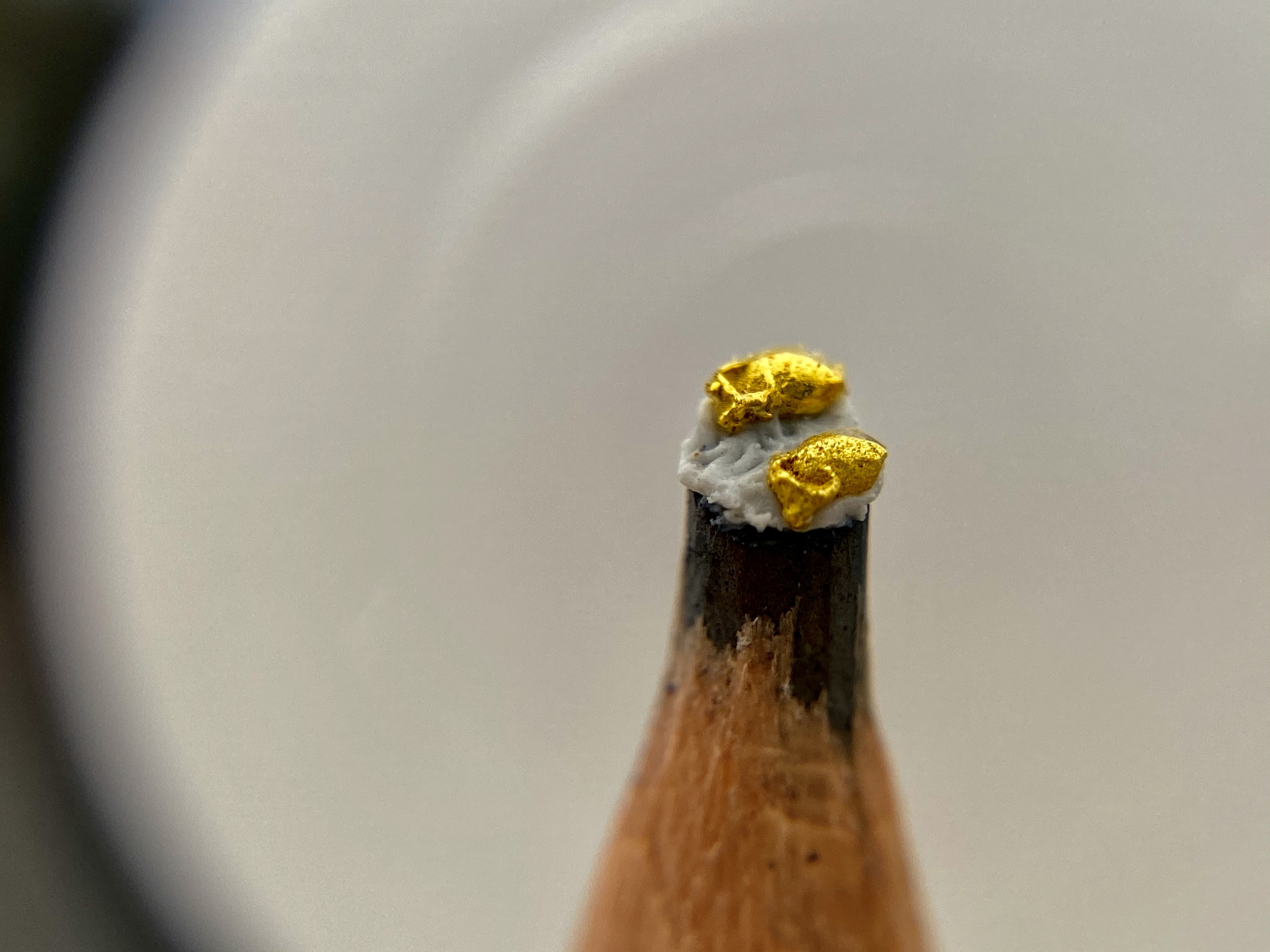 作品《筆尖上2隻水牛》,陳逢顯在鉛筆尖直徑2毫米(0.2公分)上,將1毫米黃金牛放在上面顯的渺小,雕刻、拿取都必須閉氣。(陳逢顯提供)