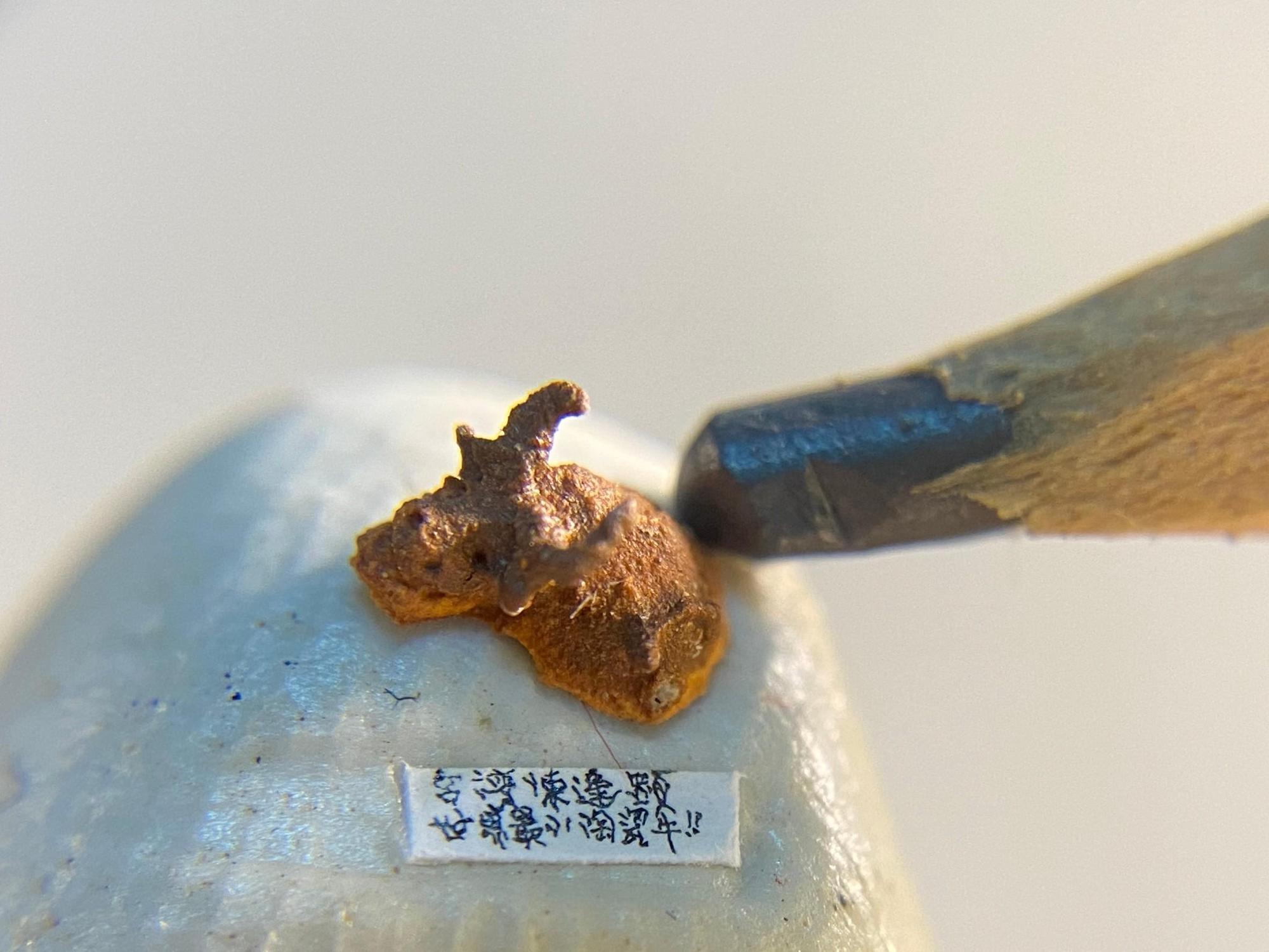 黃金水牛造型栩栩如生。（陳逢顯提供）