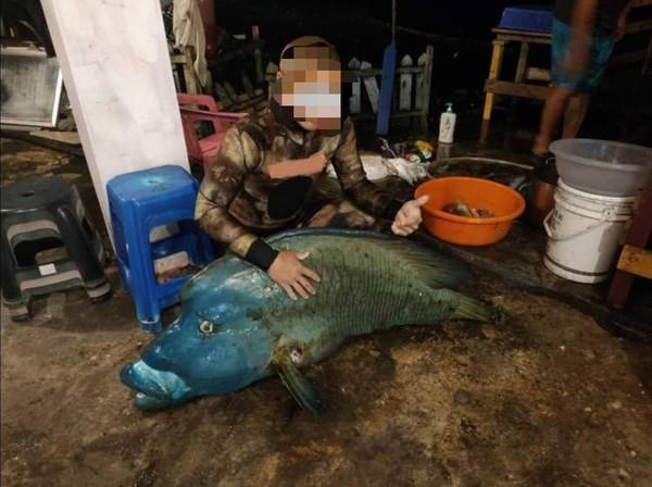 台東一名男子PO出與「龍王鯛」的合照，被海巡單位追查家中冰箱是否有魚體及殘骸。（民眾提供）