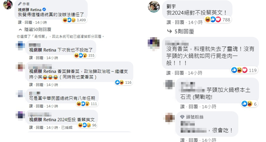 眾人對小英的表態反應也相當兩極。(翻攝自視網膜臉書)