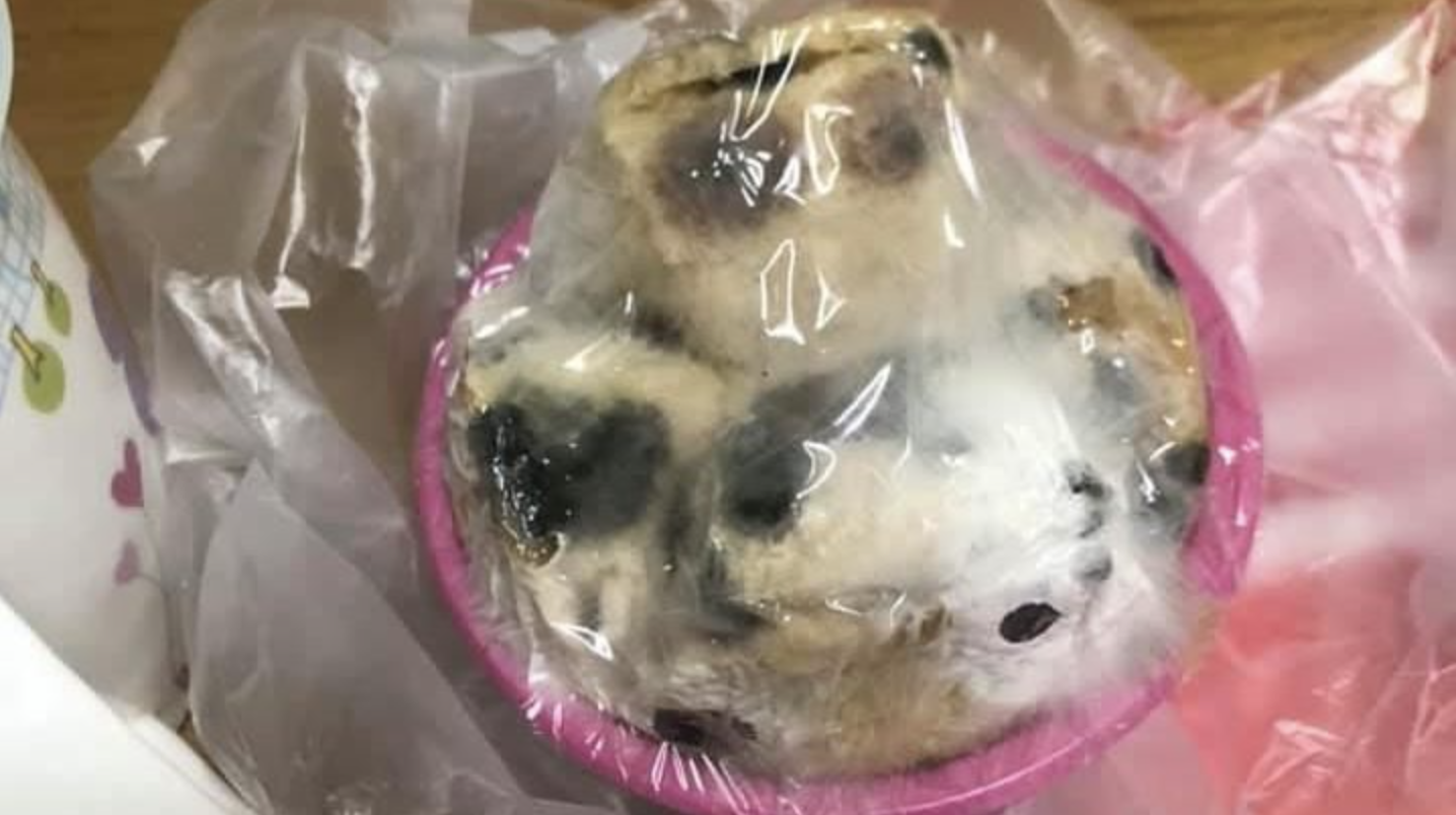網友貼出家中發糕發霉照片，無奈表示媽媽堅持年後才要收掉。（翻攝自「爆怨公社」）
