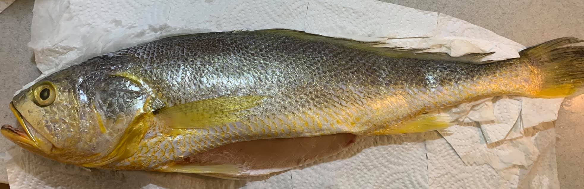 魚身內外都要仔細擦乾。
