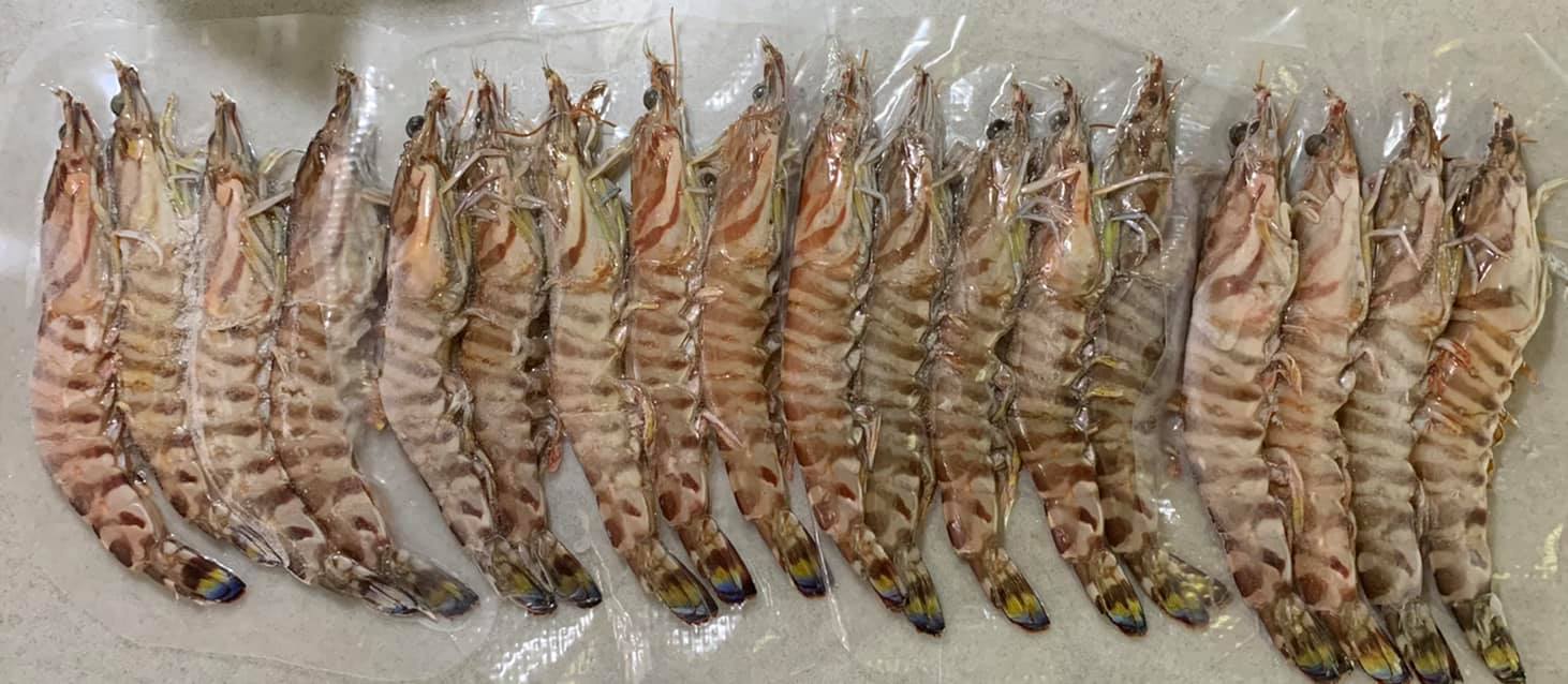 已經去砂泥的明蝦18尾。