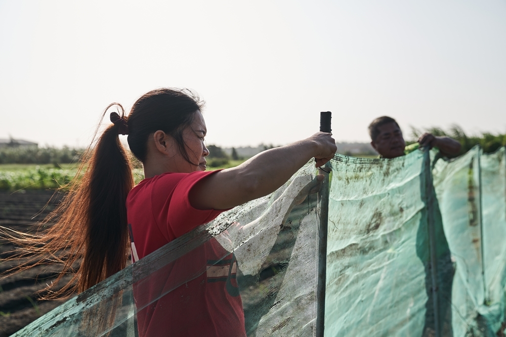 《阿紫》勇奪2020台北電影獎最佳紀錄片和最佳剪輯。(好威映象提供)