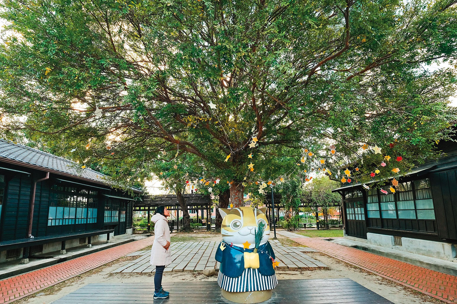 「山腳國小日治後期宿舍群」木造老屋與老樹，散發日式幽情。