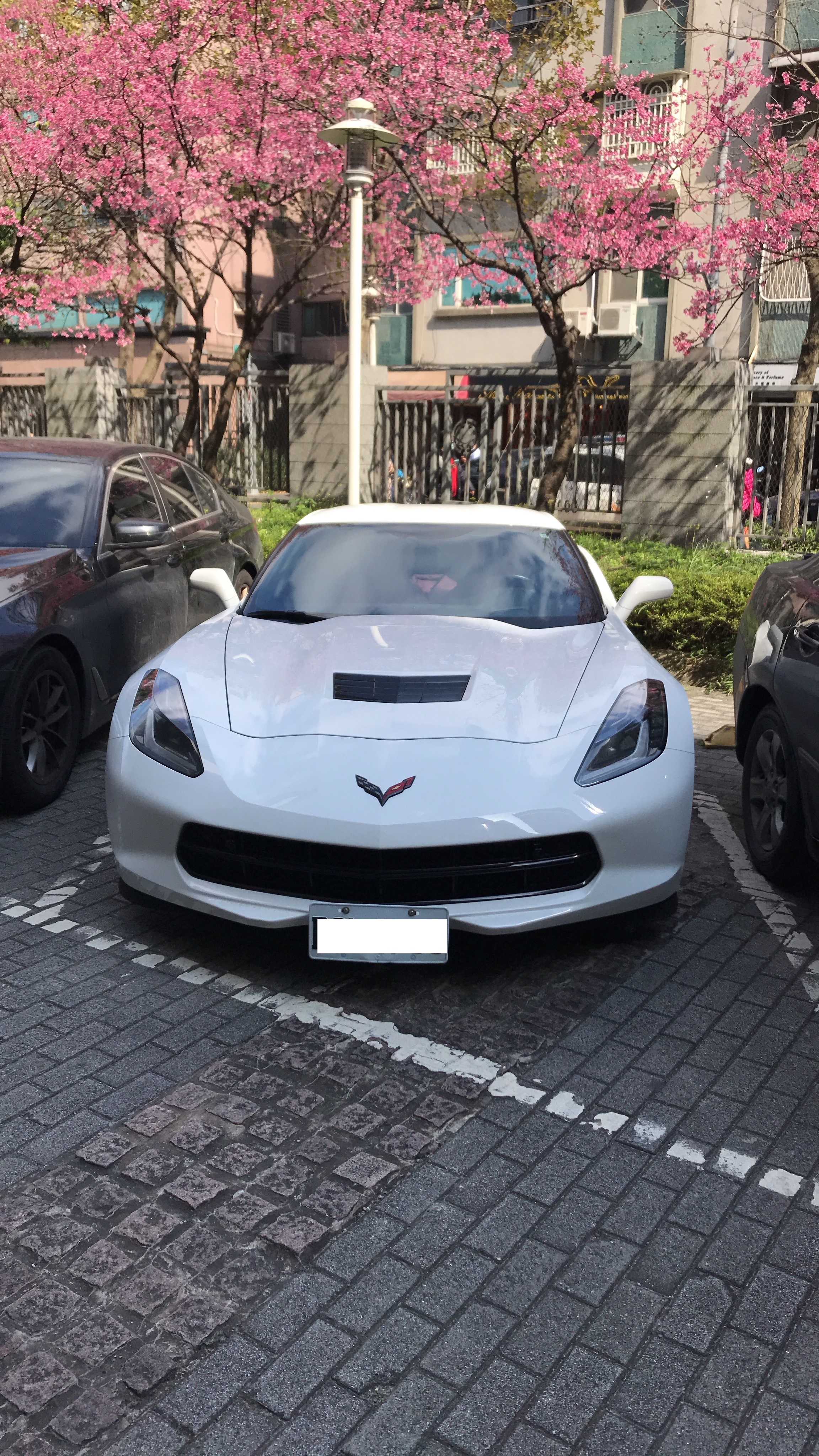 林女等人的跑車遭警方查扣。（翻攝畫面）