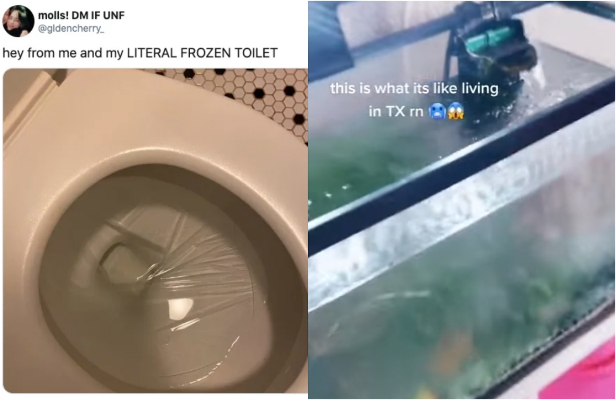馬桶水也凍成了冰，就連魚缸也難倖免。（翻攝自推特／TikTok）