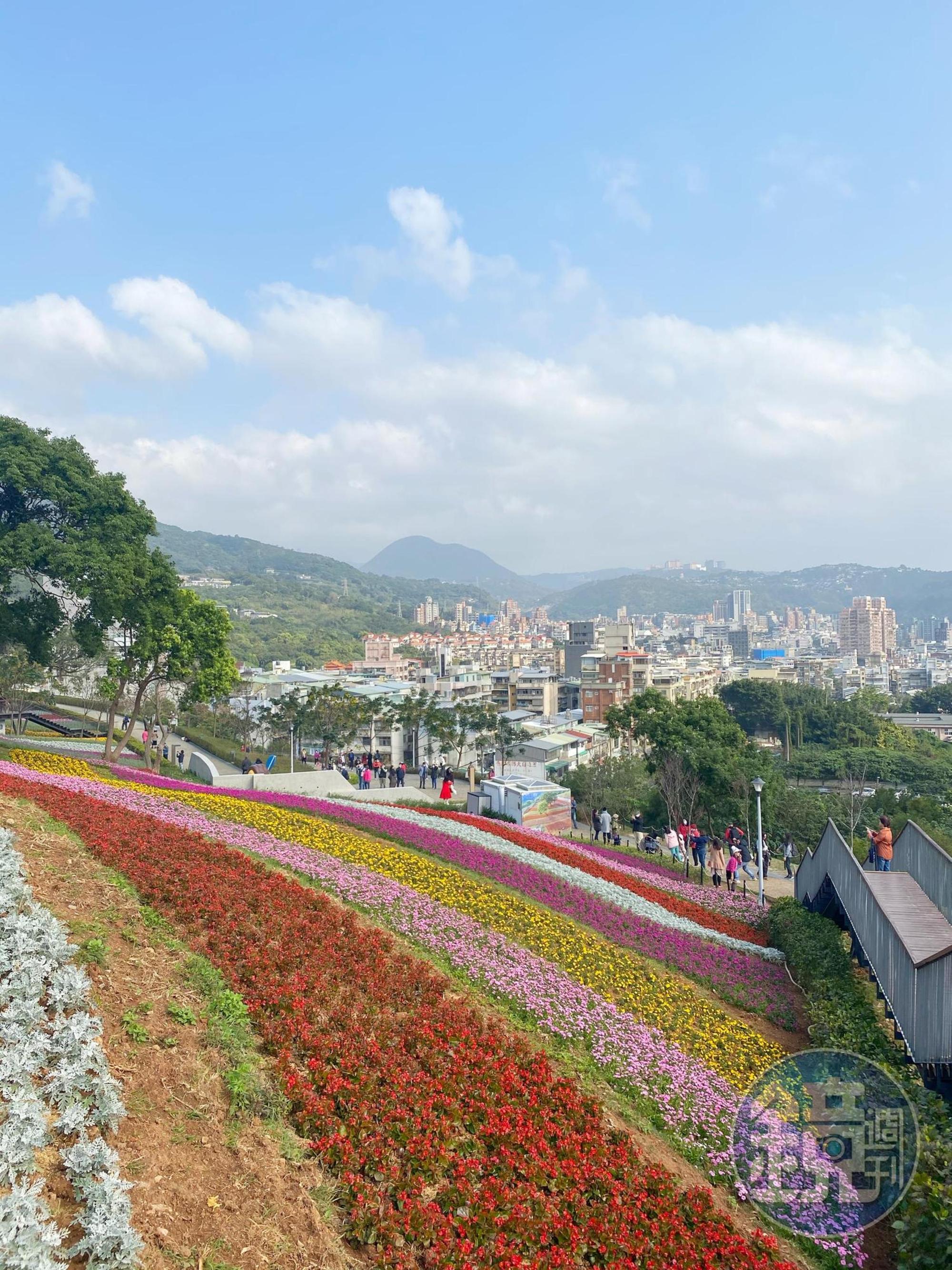站在高處能眺望花海與大台北市景。