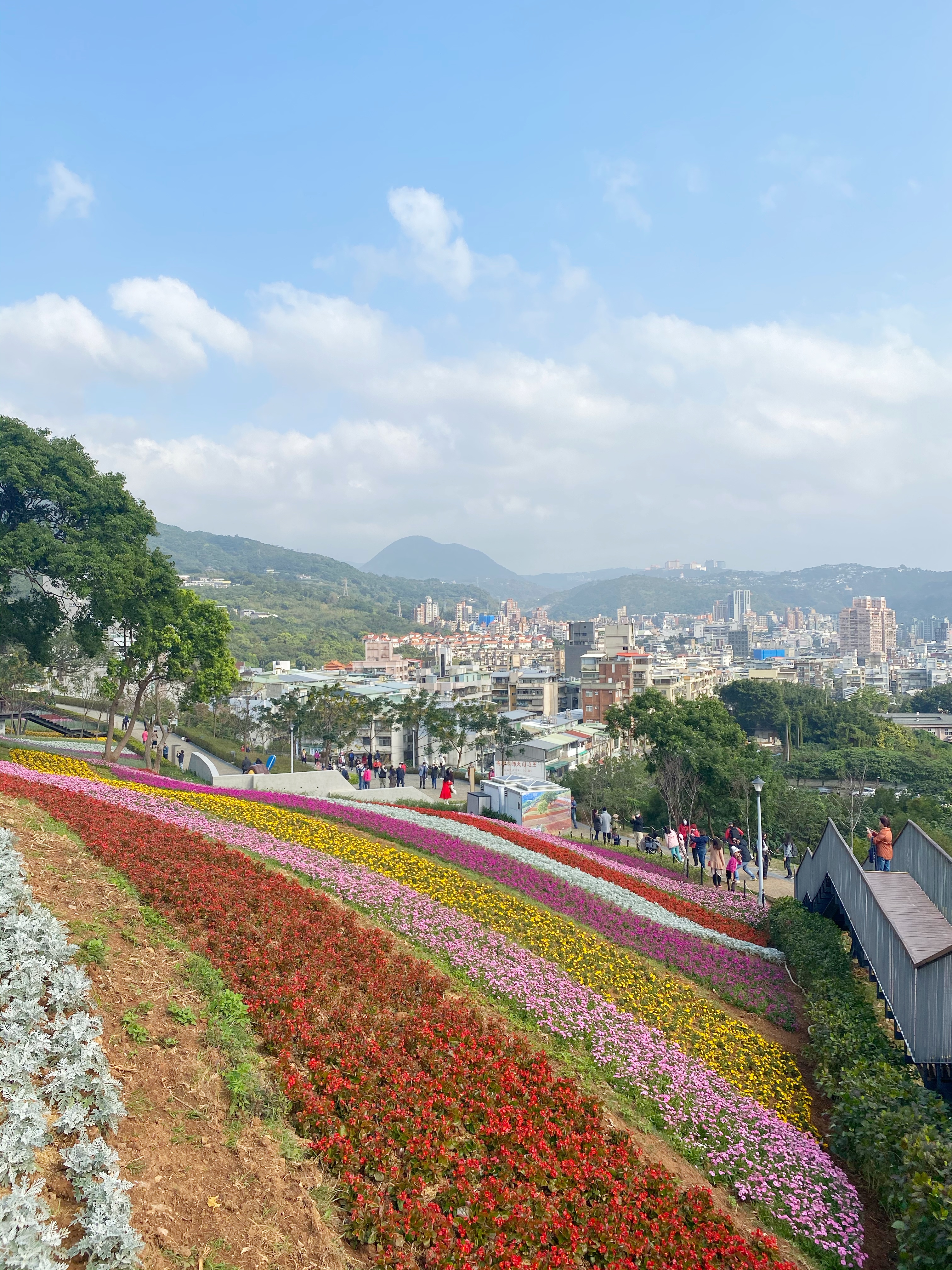 站在高處能眺望花海與大台北市景。