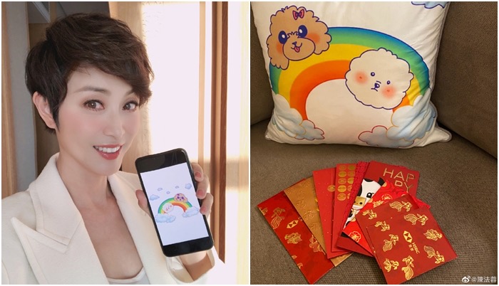 陳法蓉公開今年的「紅包業績」，熱心公益的她表示會將紅包錢捐出。（翻攝自陳法蓉微博）