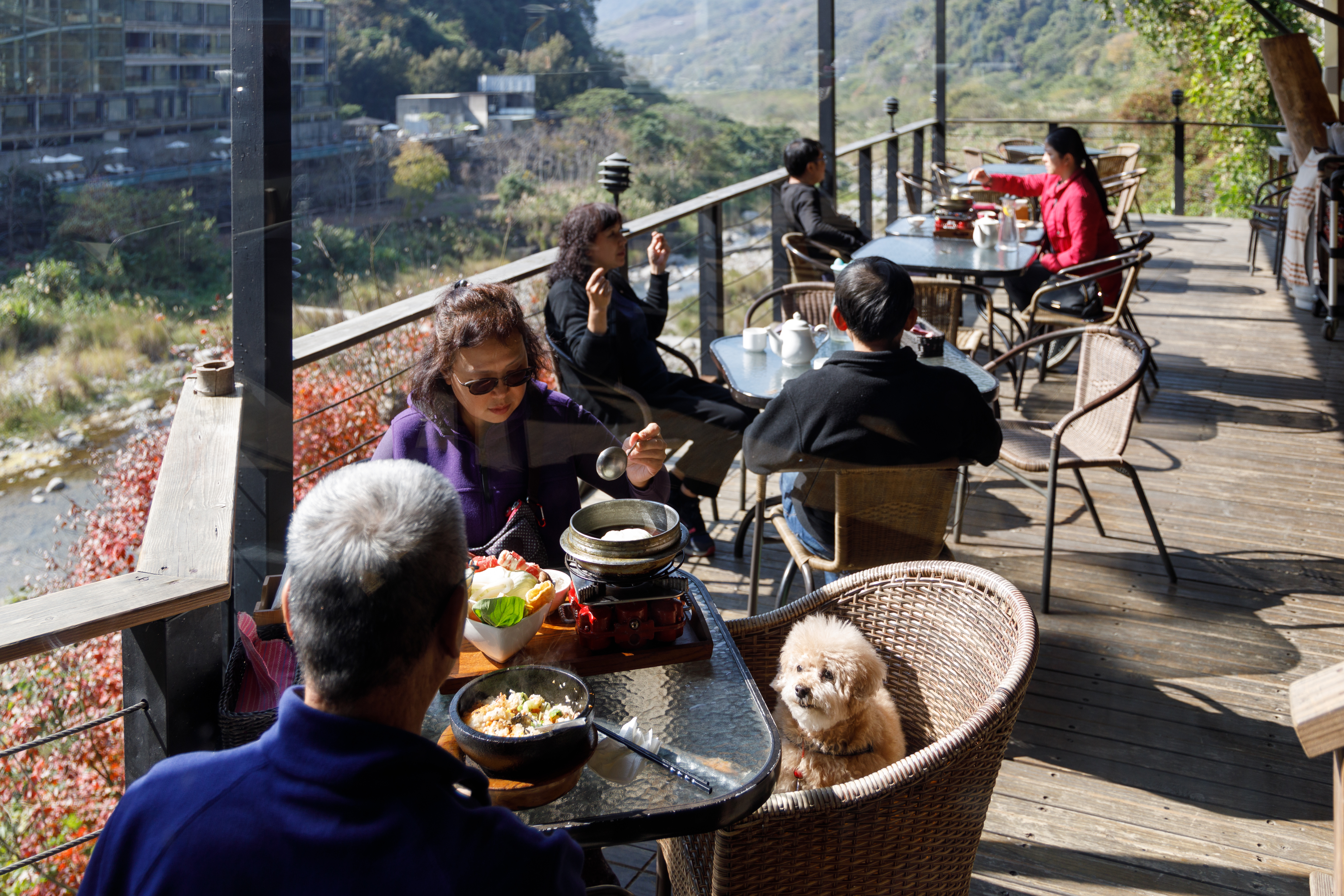 山吻泉為寵物友善餐廳，可以帶著毛小孩入內。