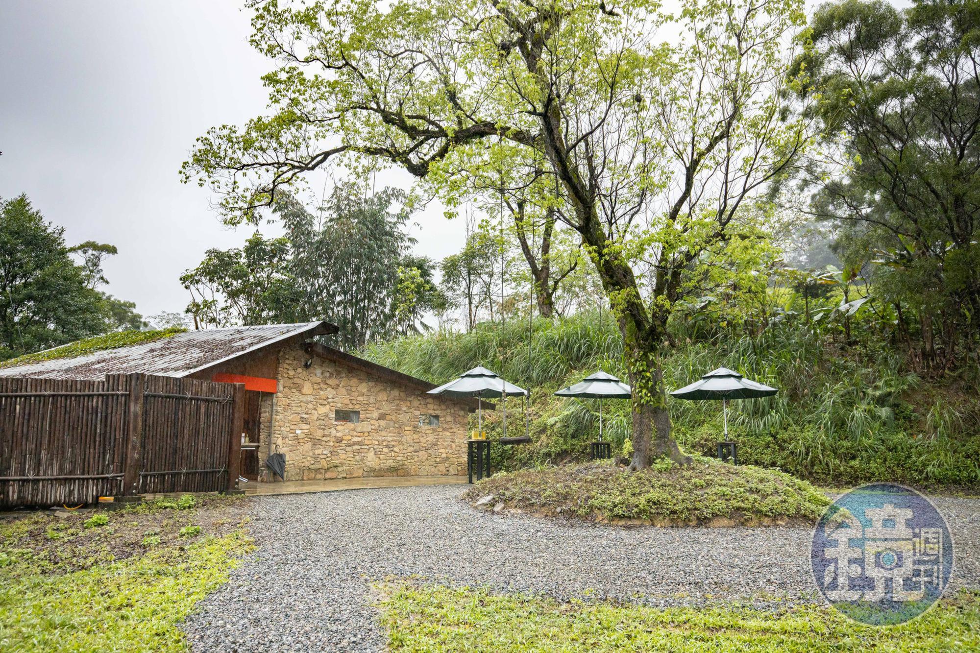 一年四季幾乎都隱身在朦朧雲霧中的不老部落。