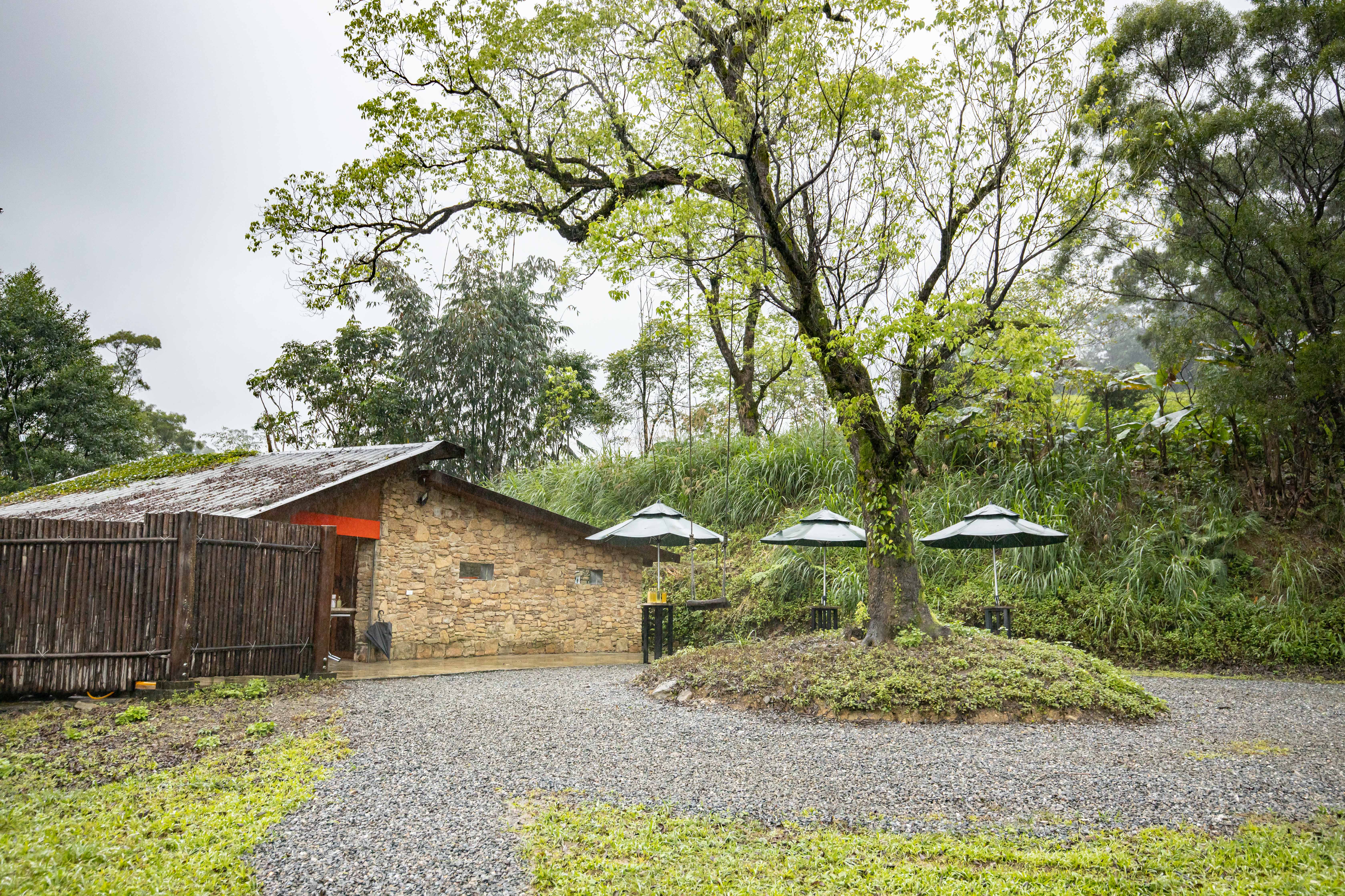一年四季幾乎都隱身在朦朧雲霧中的不老部落。