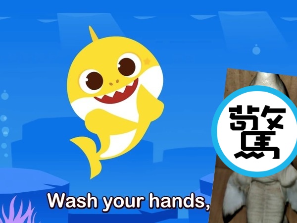 漁夫意外捕獲懷孕母鯊，更在其腹中找到一隻長相怪異的畸形生物。（翻攝自Pinkfong! Kids' Songs & Stories／Tribun Timur YouTube頻道）