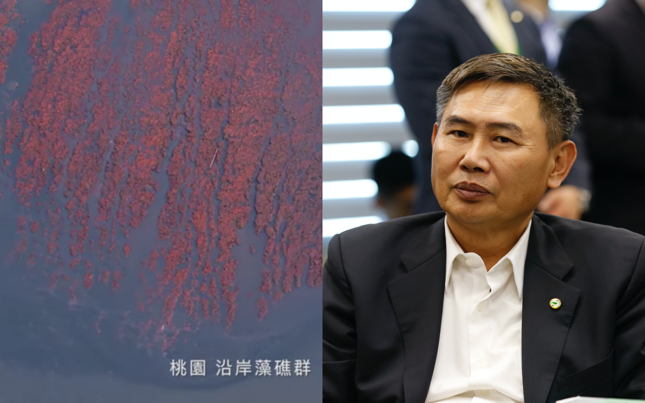 桃園藻礁主要由無節珊瑚藻造礁，在春天生長期會呈現一片紫紅（左圖），李俊毅（右圖）認為是無價之寶。（左圖翻攝自齊柏林的飛閱台灣臉書，右圖資料照）