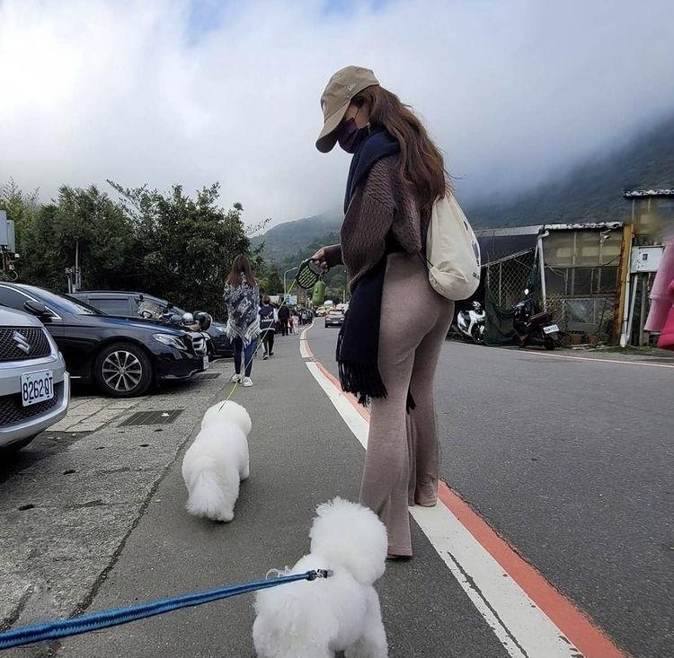 蔡依林趁工作空檔,和家人帶著愛狗上山出遊。(翻攝自蔡依林IG)