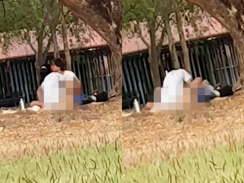 一對情侶光天化日之下，不顧公園內還有其他孩童玩耍，當場「激情野戰」。（翻攝自thesun）