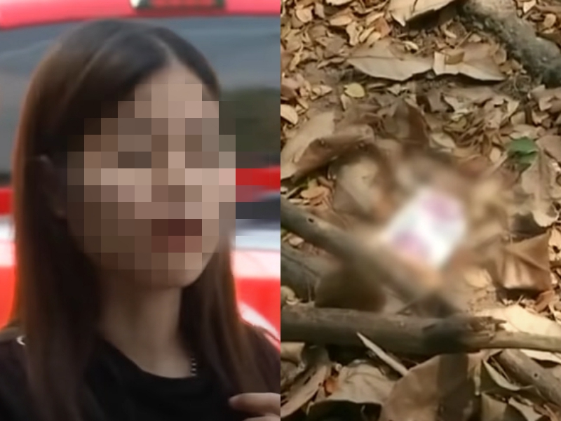 據女性路人表示,這對情侶持續「擺動」4分鐘左右,現場也遺留保險套外包裝。(翻攝自Thairath YouTube)