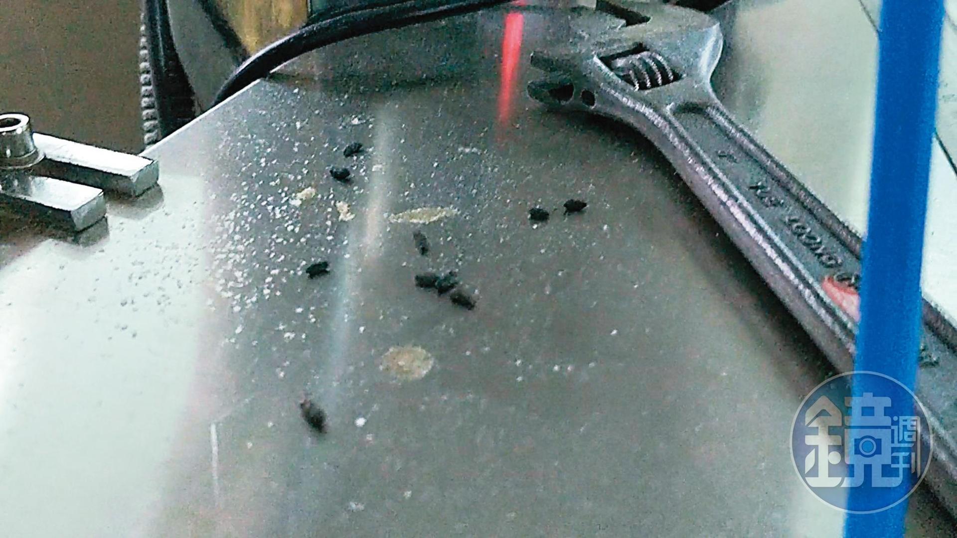 生產機台上遍布老鼠排泄物,樂扉廠房的環境衛生可說是非常糟糕。(讀者提供)