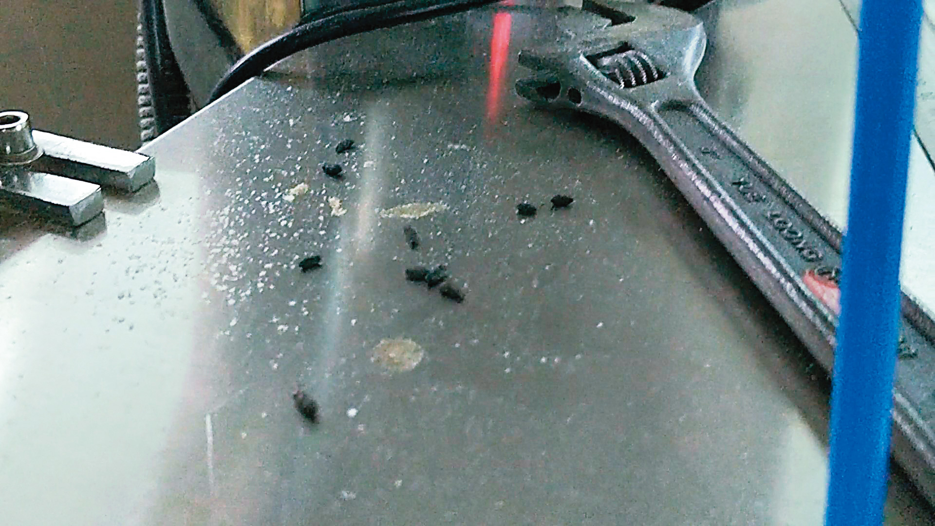 生產機台上遍布老鼠排泄物，樂扉廠房的環境衛生可說是非常糟糕。（讀者提供）