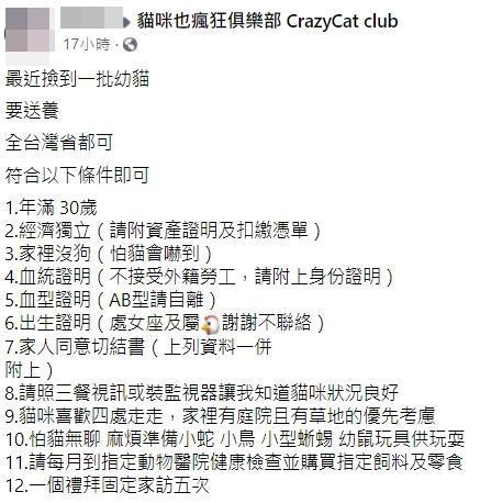 民眾撿到超萌三花奶貓po出送養文,不過祭出超多限制條件讓不少網友卻步。(翻攝自貓咪也瘋狂俱樂部臉書社團)